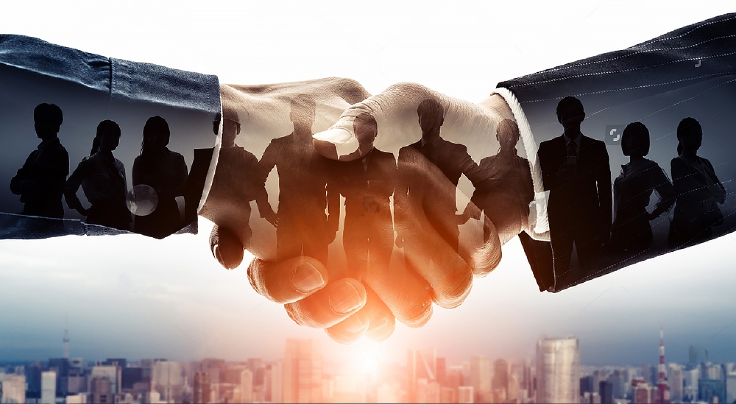 Développement du Secteur Privé